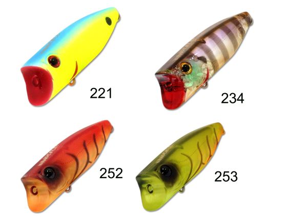 BASSDAY WANDERLEI 60