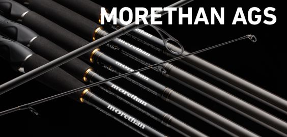 CAÑA DAIWA MORETHAN AGS