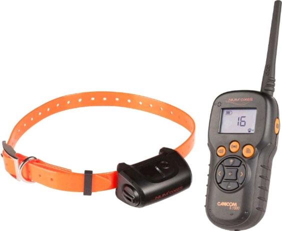 COLLAR CANICOM 5.1500