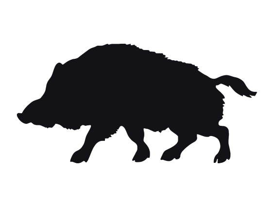 ADHESIU SENGLAR NEGRE