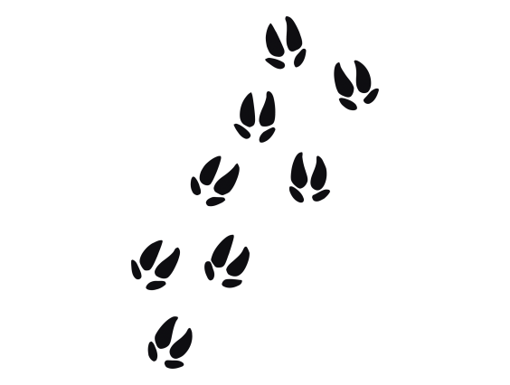 ADHESIVO PISADAS NEGRO