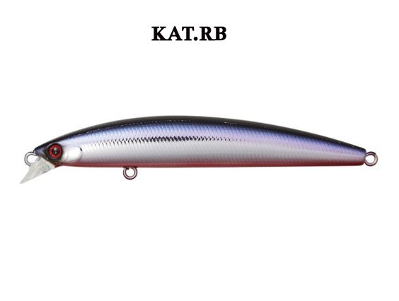 DAIWA TOURNAMENT SHORELINE SHINER Z VERTICE  