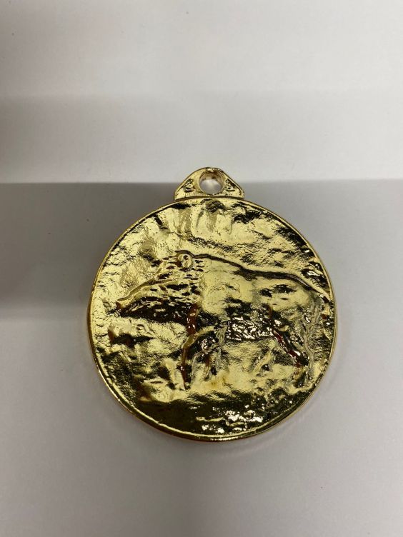 MEDALLAS TROFEO JABALÍ
