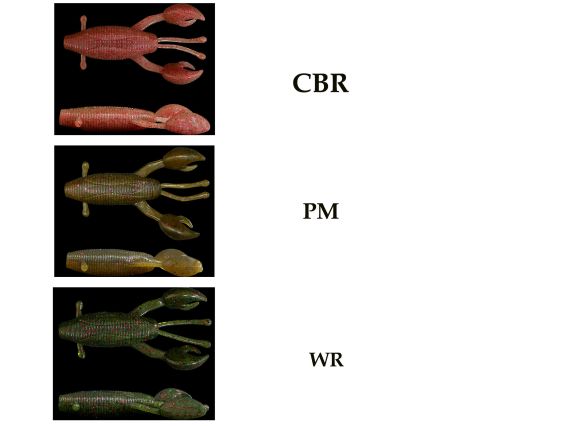 VINILO FBL MOJO CRAW