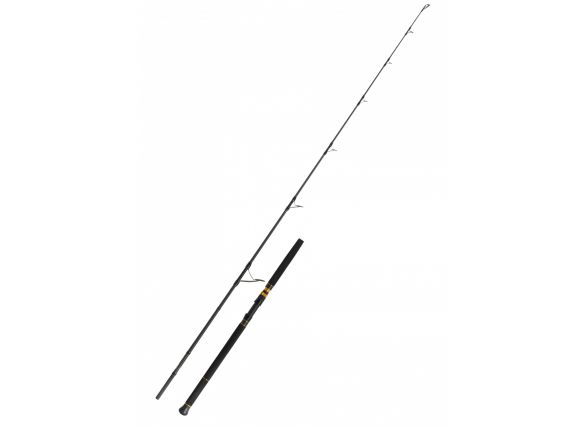CANYA CINNETIC RAYFORCE XBR TUNA POPPING K15