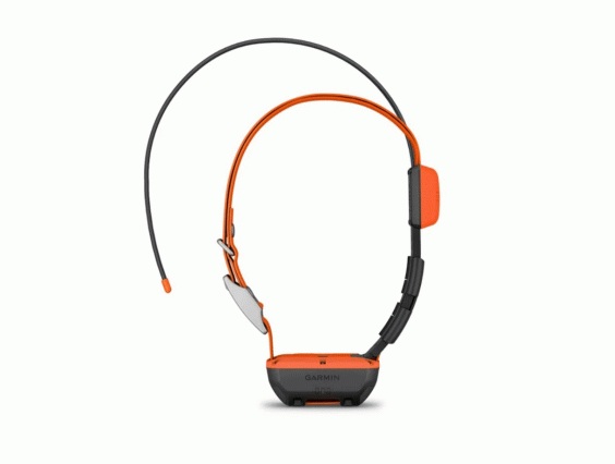 COLLAR GARMIN T20