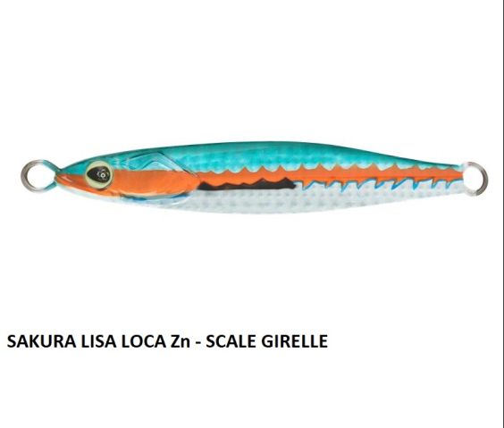 SAKURA LISA LOCA ZN 