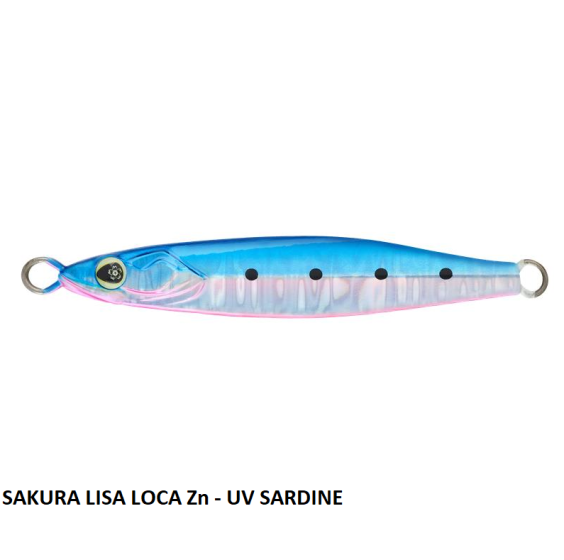 SAKURA LISA LOCA ZN 