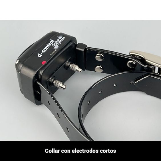 COLLAR ENSINISTRAMENT DOGTRACE ADICIONAL 